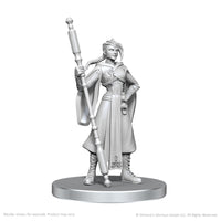 CR UNPAINTED MINIS WV26 BEAUREGARD LIONETT & CALEB WIDOGAST (Special Order)