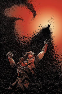 KNIGHT TERRORS: ROBIN #1 STOKOE (Special Order)