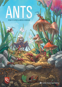 ANTS (Special Order)