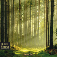 BLACK FOREST (Pre-Order)