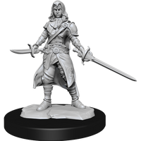 DND UNPAINTED MINIS WV14 HALF-ELF ROGUE FEMALE (Special Order)
