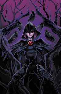 DC'S QUOTH THE RAVEN...WHATEVER #1 (Special Order)