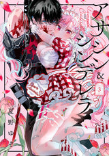 ASSASSIN & CINDERELLA VOL 3 (Special Order)