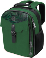 AP ENHANCE SMALL CARD BACKPACK COLLECTOR ED GREEN (EN) (Special Order)