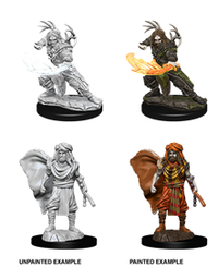 DND UNPAINTED MINIS WV6 MALE HUMAN DRUID (Special Order)