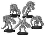 INFERNAL HOWLERS BOX (Special Order)