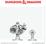 DND UNPAINTED MINIS WV29 GNOME WARLOCK & AASIMAR WIZARD (Special Order)