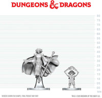 DND UNPAINTED MINIS WV29 GNOME WARLOCK & AASIMAR WIZARD (Special Order)
