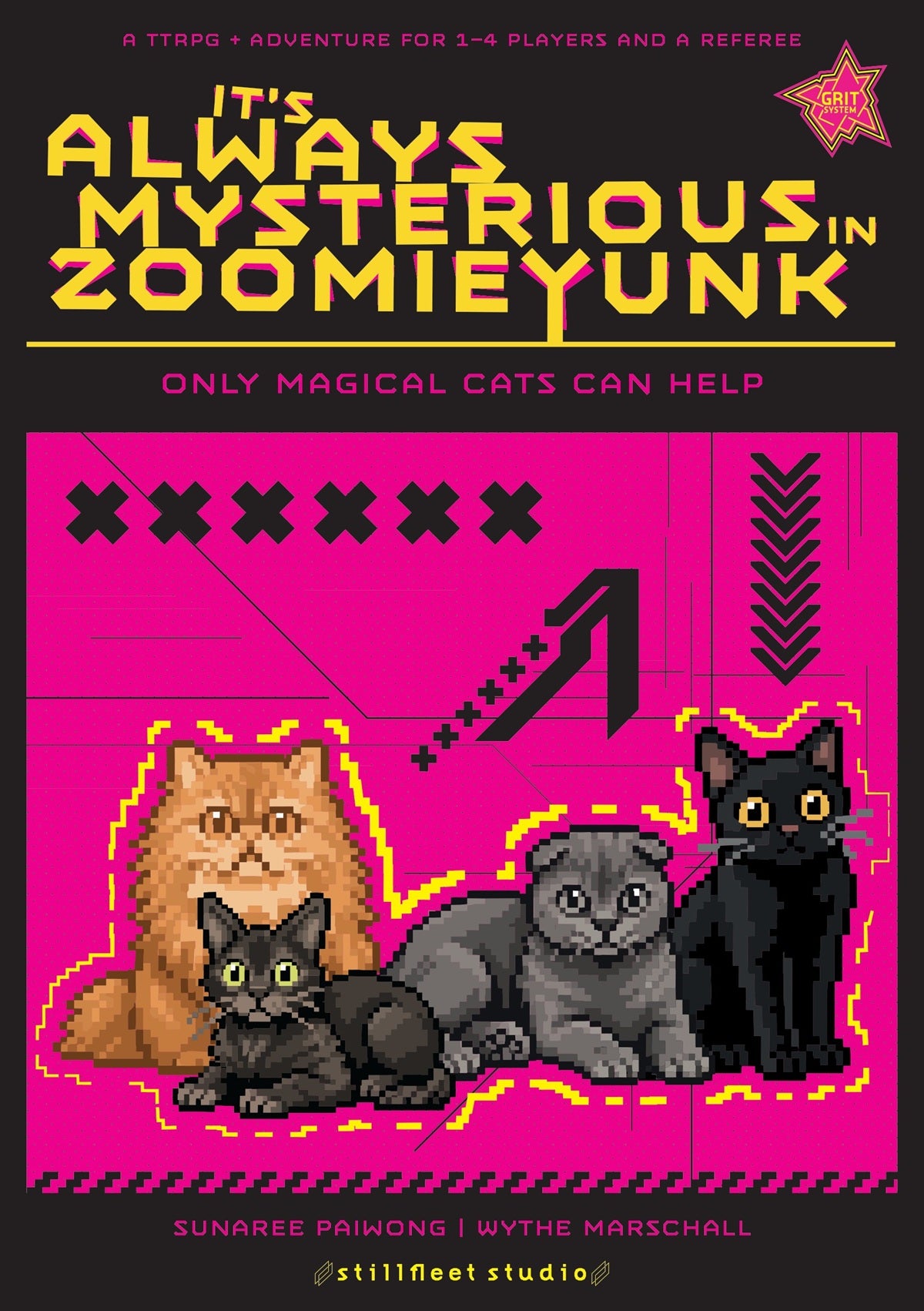 IT'S ALWAYS MYSTERIOUS IN ZOOMIEYUNK (Pre-Order)