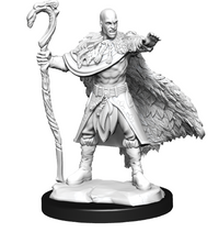 DND UNPAINTED MINIS WV14 HUMAN DRUID MALE (Special Order)