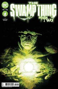 SWAMP THING #14 (OF 16) CVR A PERKINS (Special Order)