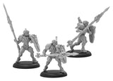 WARCASTER IRON STAR ALLIANCE PALADIN DEFENDERS SQD (Special Order)
