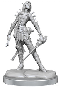 PF LEGENDARY CUTS WV2 FEMALE ELF ROGUE (Special Order)