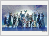 FINAL FANTASY CARD SLEEVES SERIES 3 LIGHT'S LEGACY 100CT (FFCSS-23) (Special Order)