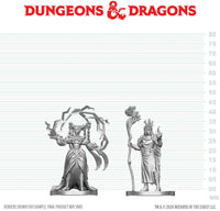 DND UNPAINTED MINIS WV29 HUMAN DRUID & ELF SORCERER (Special Order)