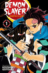 DEMON SLAYER KIMETSU NO YAIBA VOL 1 (Special Order)