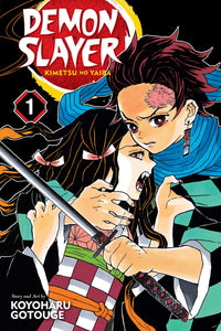 DEMON SLAYER KIMETSU NO YAIBA VOL 1 (Special Order)