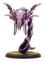 WARCASTER EMPYREAN OCULUS SOLO BOX (Special Order)