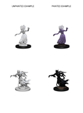 DND UNPAINTED MINIS WV3 WRAITH AND SPECTER (Special Order)
