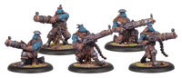 TROLLBLOOD TROLLKIN SLUGGERS UNIT BOX (Special Order)