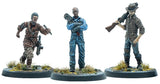 FALLOUT WASTELAND WARFARE SURVIVORS FOUNDATION AUTHORITY (Special Order)