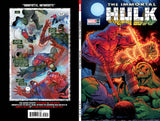 IMMORTAL HULK #50 MR GARCIN VARIANT (Special Order)