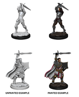 DND UNPAINTED MINIS WV12 MALE HUMAN PALADIN (Special Order)
