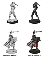 DND UNPAINTED MINIS WV12 MALE HUMAN PALADIN (Special Order)