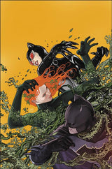 BATMAN VOL. 6: BRIDE OR BURGLAR (Special Order)