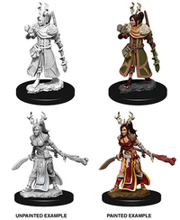 DND UNPAINTED MINIS WV9 FEMALE HUMAN DRUID (Special Order)