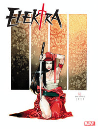 ELEKTRA #100 RUAN VARIANT (Special Order)
