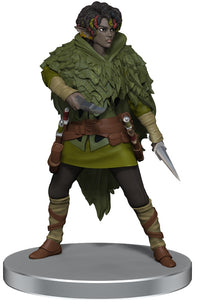 DND ICONS DRAGONLANCE WARRIOR SET (Special Order)