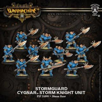 CYGNAR STORMGUARD STORM KNIGHT (10) UNIT (PLASTIC) (Special Order)