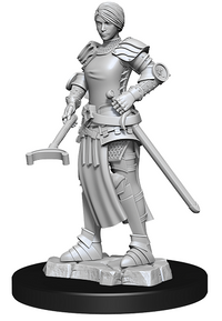 WIZKIDS UNPAINTED MINIS WV12 CASTLE KING.RETAINERS (Special Order)