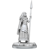WIZKIDS UNPAINTED MINIS WV17 BRIGANTE CELTS (Special Order)