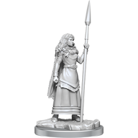 WIZKIDS UNPAINTED MINIS WV17 BRIGANTE CELTS (Special Order)