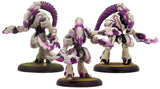 WARCASTER EMPYREAN SABER STRIKEFORCE SQUAD BOX (Special Order)