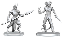 PF UNPAINTED MINIS WV27 VORDINE (INFANTRY DEVIL) & PITBORN ROGUE (Special Order)