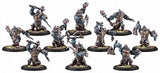 CRYX BLIGHTED TROLLKIN BLOODGORGERS UNIT BOX (Special Order)