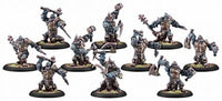 CRYX BLIGHTED TROLLKIN BLOODGORGERS UNIT BOX (Special Order)