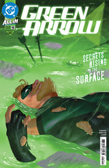 GREEN ARROW #19 (Special Order)