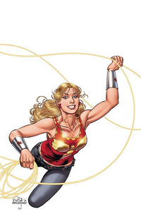 WONDER GIRL ADVENTURES OF A TEEN TITAN TP (Special Order)