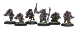 MINIONS FARROW BRIGANDS UNIT BOX (CLASSIC) (Special Order)