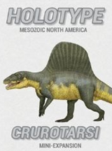 HOLOTYPE: CRUROTARSI MINI-EXPANSION (Special Order)