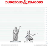 DND UNPAINTED MINIS WV29 CULTIST OF BHAAL & CULTIST OF MYRKUL (Special Order)