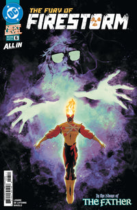 THE FURY OF FIRESTORM #6 (Special Order)