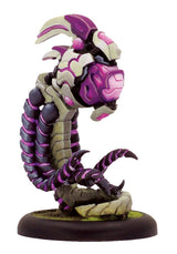 WARCASTER EMPYREAN FULCRUM SOLO BOX (Special Order)