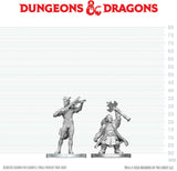 DND UNPAINTED MINIS WV29 TIEFLING BARD & DWARF CLERIC (Special Order)