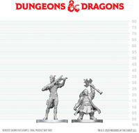 DND UNPAINTED MINIS WV29 TIEFLING BARD & DWARF CLERIC (Special Order)