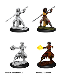 DND UNPAINTED MINIS WV10 FEMALE HALF-ELF MONK (Special Order)